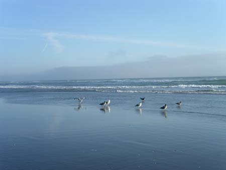pacific ocean, oregon coast