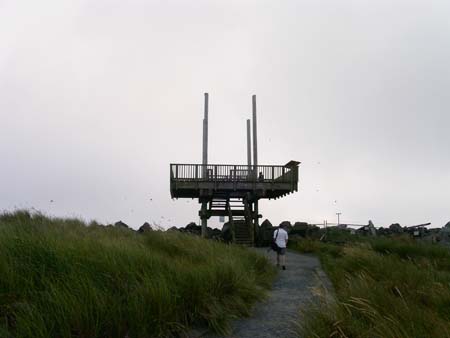 pacific ocean, oregon coast, view point