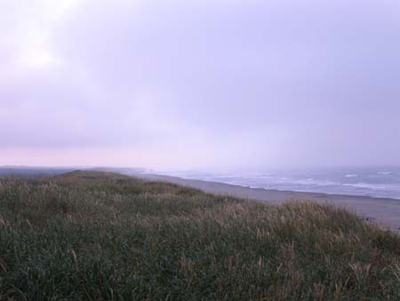 pacific ocean, oregon coast