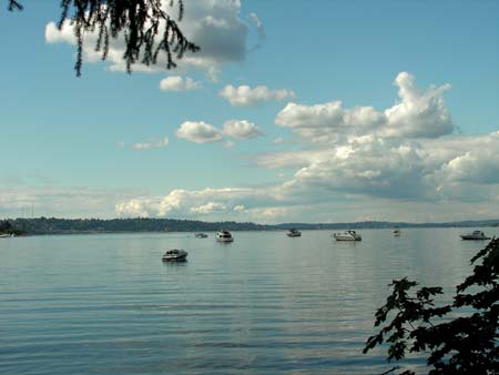 lake washington