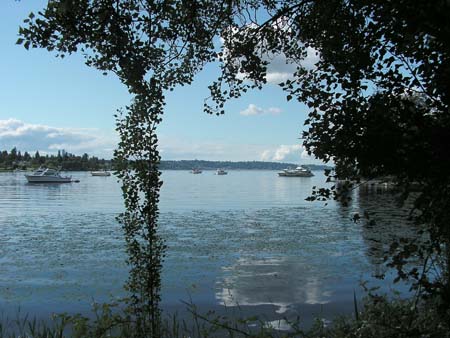 lake washington