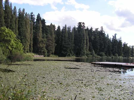 lake washington