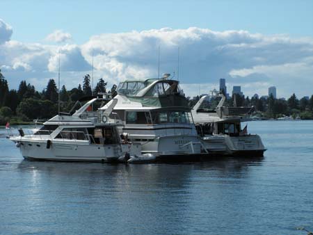 lake washington, yachts