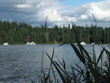 lake washington