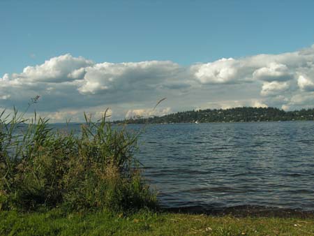 lake washington