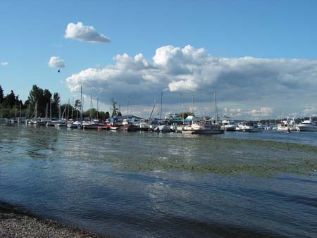 lake washington, yachts