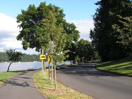 lake washington