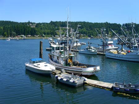 marina